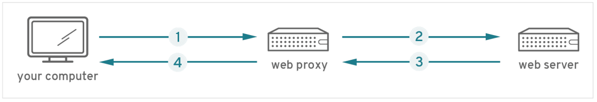 service mesh: web proxy